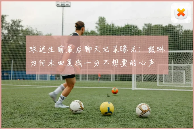 球迷生前最后聊天记录曝光：戴琳为何未回复我一分不想要的心声