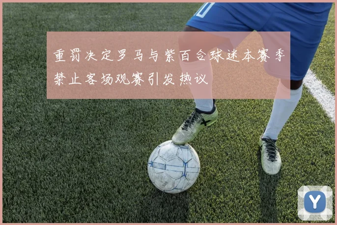 重罚决定罗马与紫百合球迷本赛季禁止客场观赛引发热议