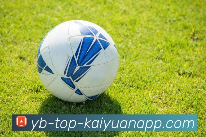 开元体育平台生态图